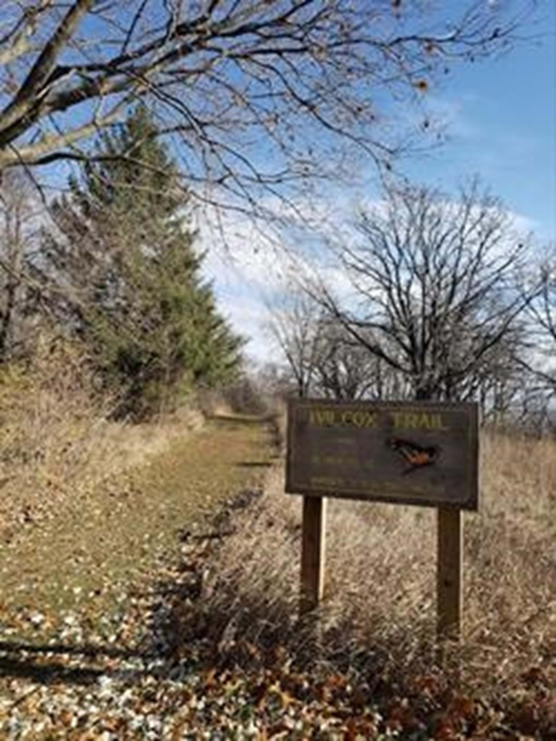 Wilcox trail sign